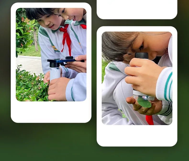 60-120x Educational Pocket LED Microscope Kit