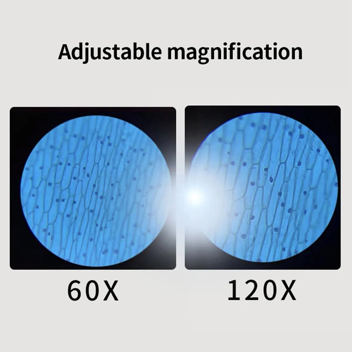 60-120x Educational Pocket LED Microscope Kit