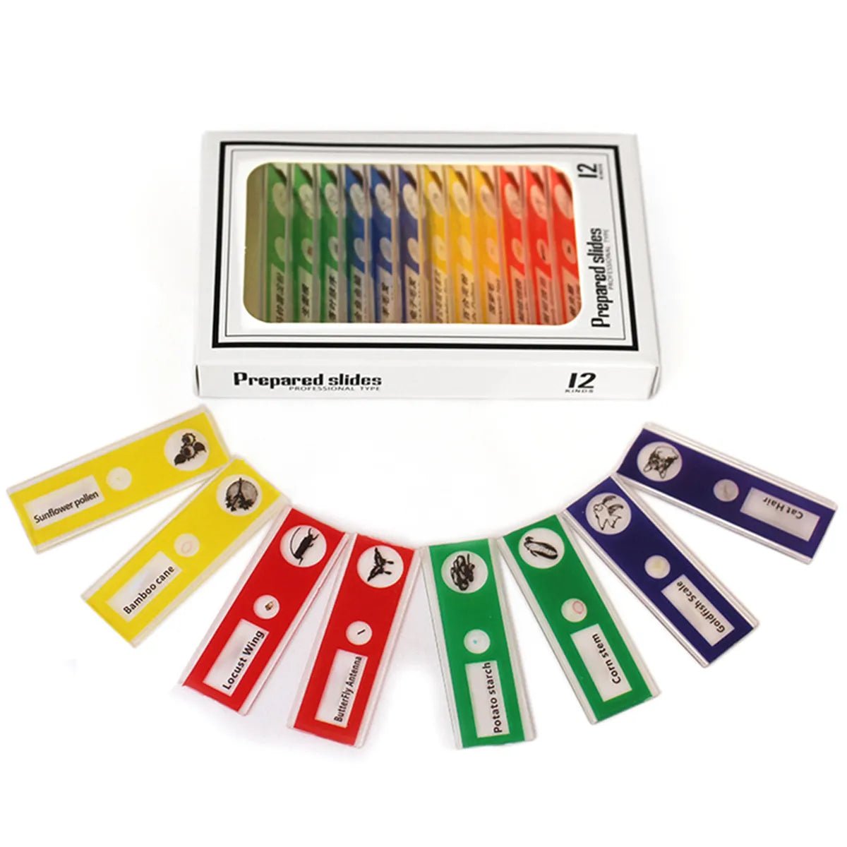 60-120x Educational Pocket LED Microscope Kit