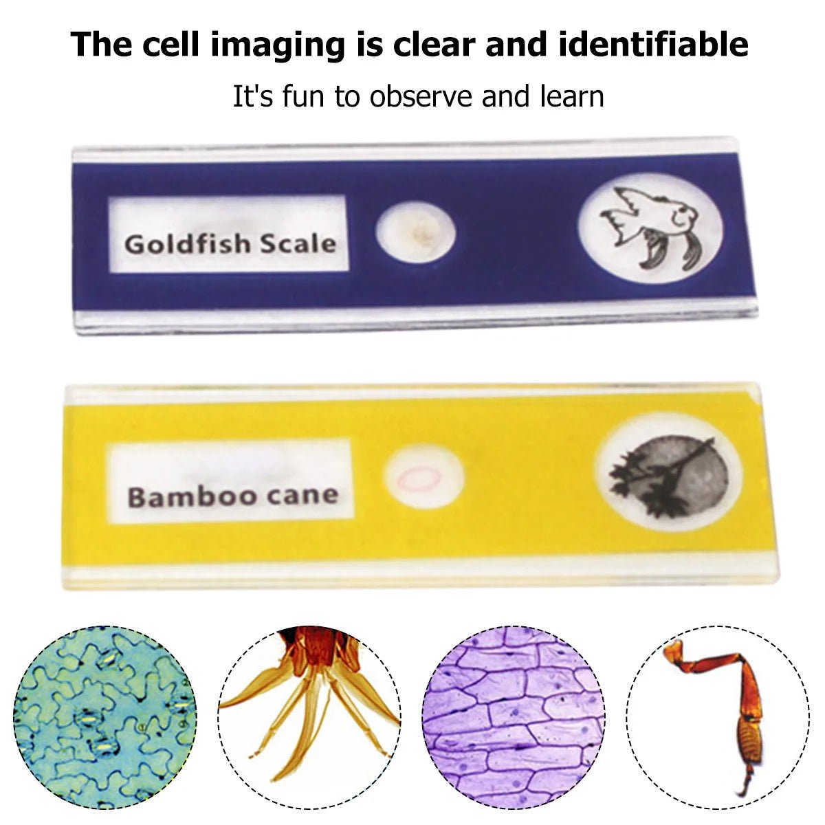 60-120x Educational Pocket LED Microscope Kit