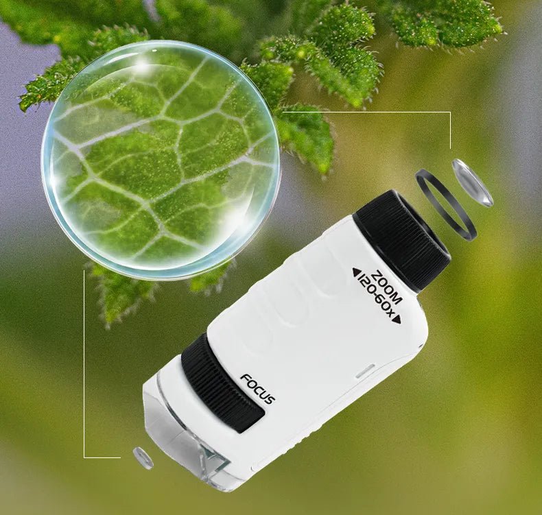 60-120x Educational Pocket LED Microscope Kit