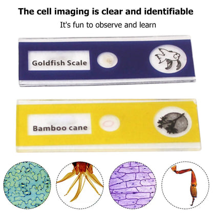 60-120x Educational Pocket LED Microscope Kit